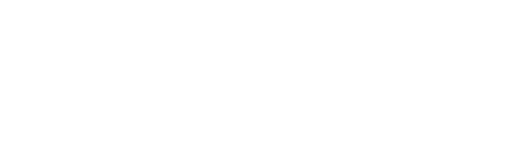 Make a Wish Logo